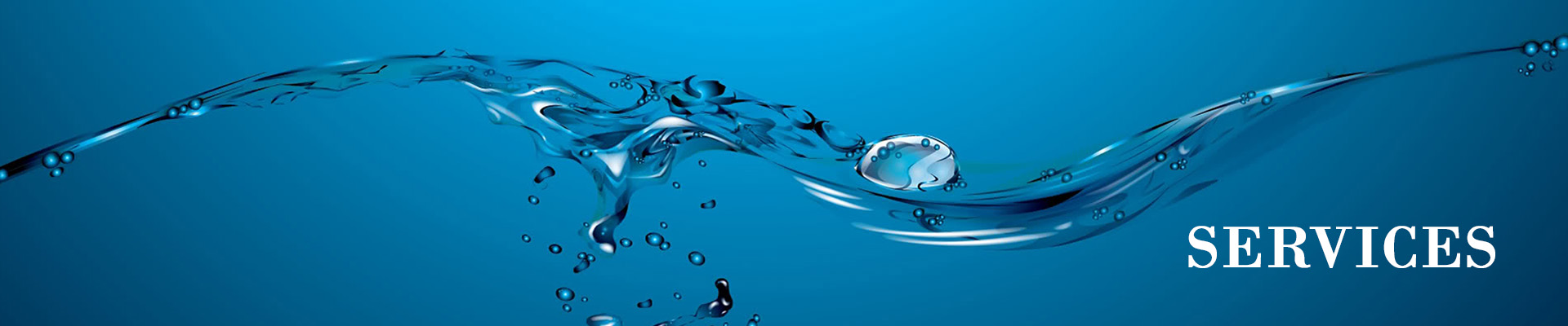banner1